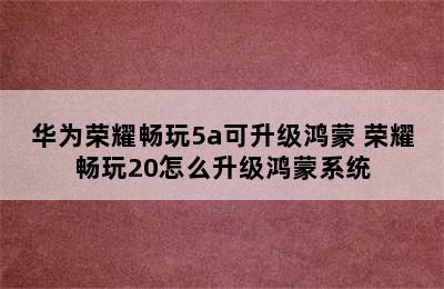 华为荣耀畅玩5a可升级鸿蒙 荣耀畅玩20怎么升级鸿蒙系统